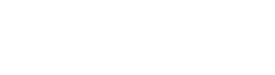Logo Service Schiraldi